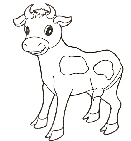 Baby Cow Coloring Page